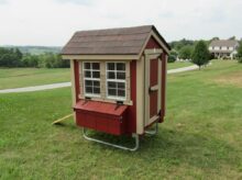 Urban Chicken Coop Kit